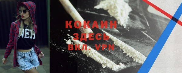 сатива Абинск