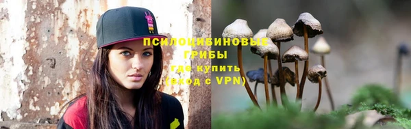 индика Абаза