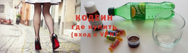 индика Абаза