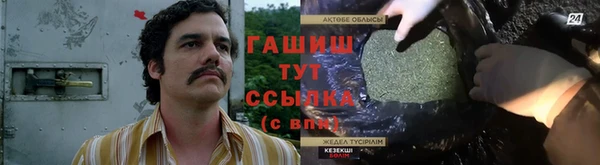 индика Абаза