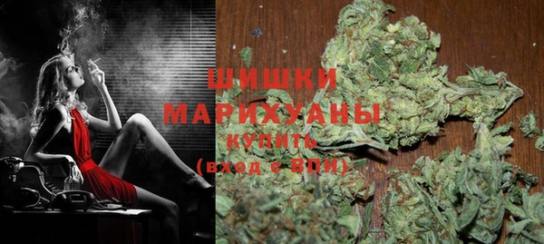 индика Абаза