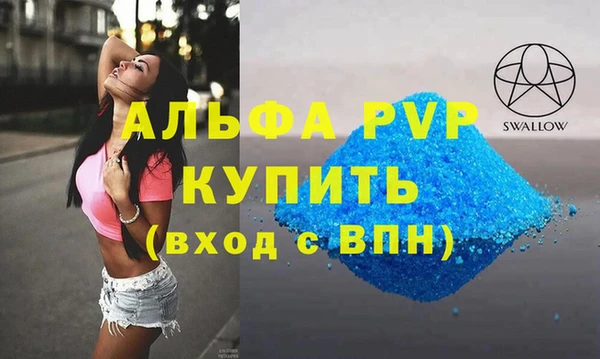 индика Абаза