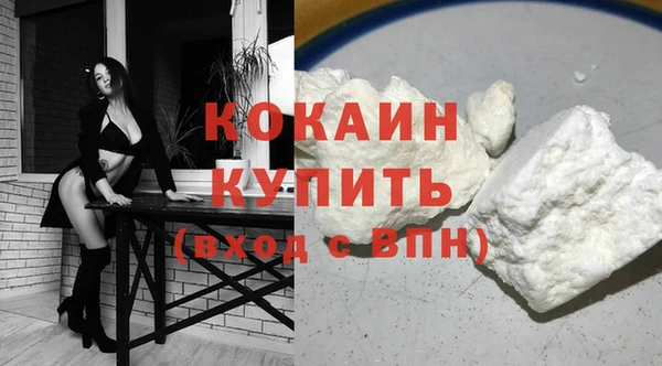 индика Абаза